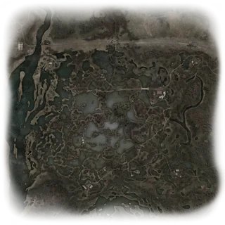 Karte von Great Swamp in S.T.A.L.K.E.R.: Clear Sky